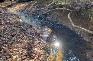 660 Scoggins Rd, Rutherfordton, NC 28139 - Photo 45