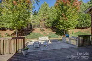 16300 Doves Canyon Ln, Charlotte, NC 28278 - Photo 45