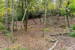 71 Happy Valley Dr, Mills River, NC 28759 - Photo 15