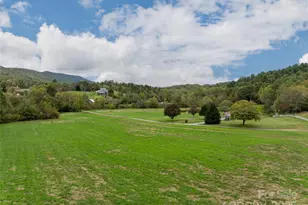 71 Happy Valley Dr, Mills River, NC 28759 - Photo 39