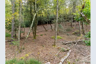 71 Happy Valley Drive, Mills River, NC 28775 - Photo 15