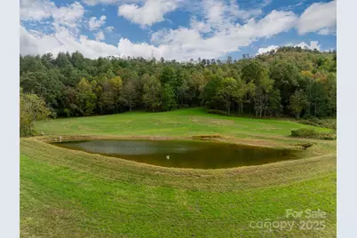 71 Happy Valley Drive, Mills River, NC 28775 - Photo 19