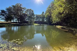 4592 Nc 742 Hwy S, Wadesboro, NC 28170 - Photo 7