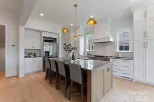 3011 Ella Katherine Wy, Charlotte, NC 28210 - Photo 9