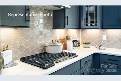 3027 Canvasback Way, Indian Trail, NC 28079 - Photo 7