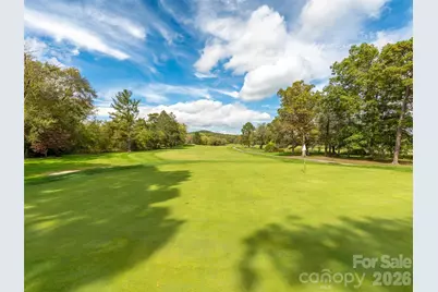 49 Tee Box Lane, Etowah, NC 28729 - Photo 3