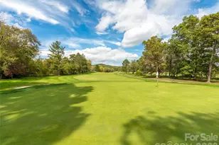 49 Tee Box Ln, Etowah, NC 28729 - Photo 3