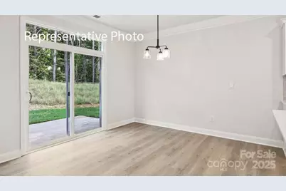 3035 Canvasback Way, Indian Trail, NC 28079 - Photo 9