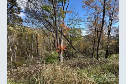 27 Trillium Lane, Mars Hill, NC 28754 - Photo 3