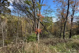 27 Trillium Ln, Mars Hill, NC 28754 - Photo 3