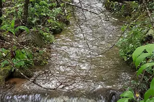 142 Cherrywood Ln, Pisgah Forest, NC 28768 - Photo 29