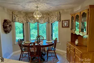 503 Paw Paw Cove None, Sylva, NC 28779 - Photo 13