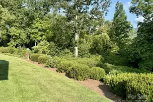 503 Paw Paw Cove None, Sylva, NC 28779 - Photo 7