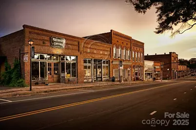 244 Bouchard Drive, Waxhaw, NC 28173 - Photo 45