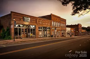 244 Bouchard Dr, Waxhaw, NC 28173 - Photo 45