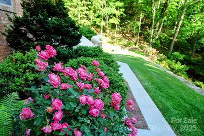 295 Laurel Ridge Drive, Waynesville, NC 28786 - Photo 45