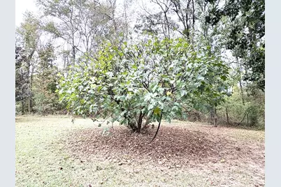 235 Myers Lane, Pageland, SC 29728 - Photo 37