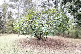 235 Myers Ln, Pageland, SC 29728 - Photo 37