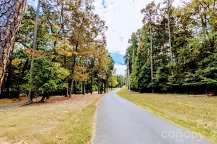 117 Delwood Ct, Mount Gilead, NC 27306 - Photo 39