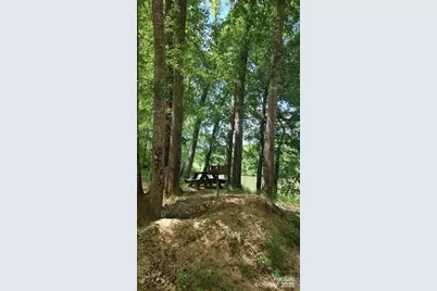 116 Cranberry Lane, Mooresboro, NC 28114 - Photo 21