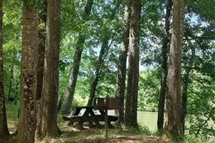 116 Cranberry Ln, Mooresboro, NC 28114 - Photo 21