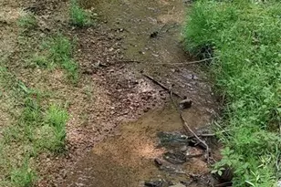 116 Cranberry Ln, Mooresboro, NC 28114 - Photo 25