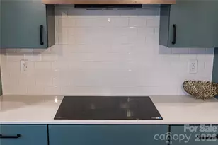 1006 Padgett Pl, Black Mountain, NC 28711 - Photo 29