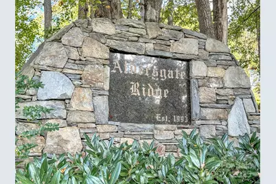 132 Aldersgate Road, Waynesville, NC 28786 - Photo 41