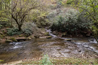 214 Chin Tree Road, Sylva, NC 28779 - Photo 35
