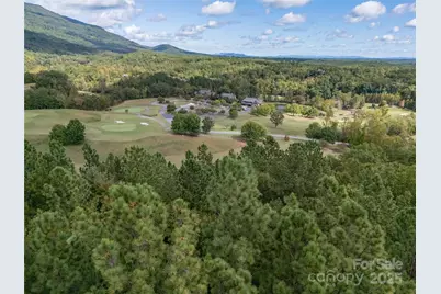 000 Deep Gap Farm Drive #2021, Mill Spring, NC 28756 - Photo 7