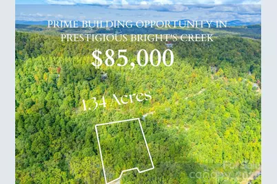 000 Deep Gap Farm Drive #2021, Mill Spring, NC 28756 - Photo 5
