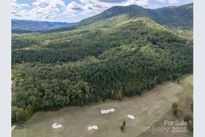 000 Deep Gap Farm Drive #2021, Mill Spring, NC 28756 - Photo 9