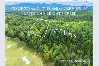 000 Deep Gap Farm Drive #2021, Mill Spring, NC 28756 - Photo 1