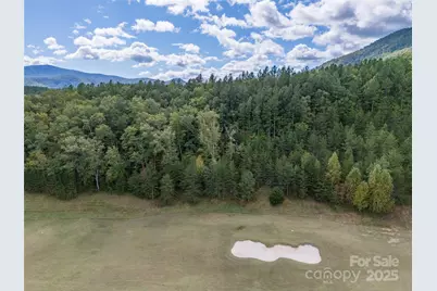 000 Deep Gap Farm Drive #2021, Mill Spring, NC 28756 - Photo 11