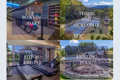 000 Deep Gap Farm Drive #2021, Mill Spring, NC 28756 - Photo 3