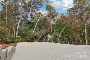 271 Greenstone Ln, Mills River, NC 28759 - Photo 39