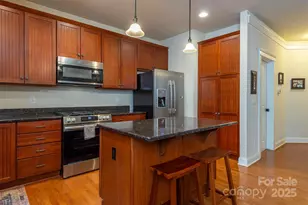 4 Yellow Owl Ct, Biltmore Lake, NC 28715 - Photo 13