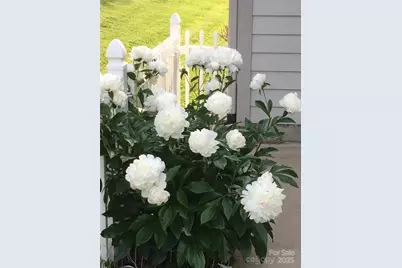 23 Holiday Drive, Arden, NC 28704 - Photo 31