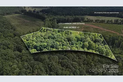 4415 Mirror Lake Drive, Catawba, NC 28609 - Photo 3