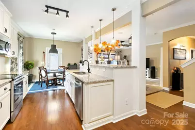 15221 Kissimmee Lane, Mint Hill, NC 28227 - Photo 19