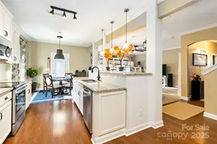 15221 Kissimmee Ln, Mint Hill, NC 28227 - Photo 19