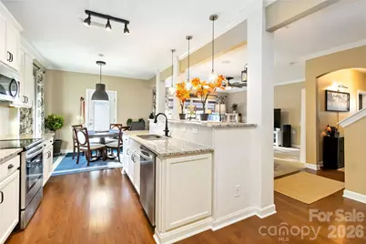 15221 Kissimmee Lane, Mint Hill, NC 28227 - Photo 19