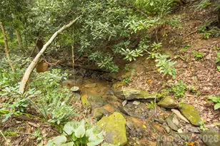 56 Windover Dr, Asheville, NC 28803 - Photo 43