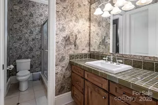 104 Mossridge Ct, Flat Rock, NC 28731 - Photo 33