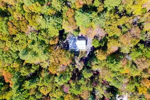 200 Riley Ln, Pisgah Forest, NC 28768 - Photo 45