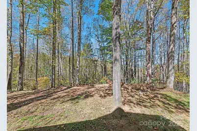 115 Full Moon Cove, Waynesville, NC 28786 - Photo 31