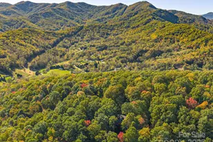 72 Wildflower Mountain Trl, Candler, NC 28715 - Photo 27