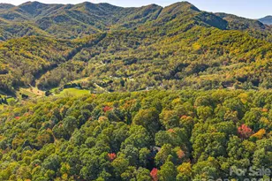 72 Wildflower Mountain Trl, Candler, NC 28715 - Photo 27