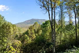 69 Blowing Ridge Ln, Sylva, NC 28779 - Photo 47