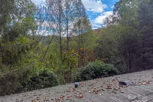 197 Savannah Meadows Trail, Sylva, NC 28779 - Photo 39